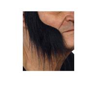 Viving Costumes 202871 Sideburns, Multi Color, One Size