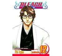 Viz Bleach Vol. 12 Paperback Manga: Flower on the Precipice