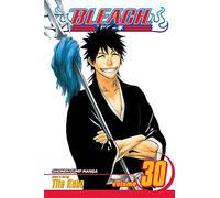 Viz Bleach Vol. 30 Paperback Manga: There Is No Heart Without You
