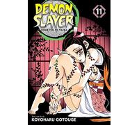 Viz Demon Slayer Kimetsu No Yaiba GN Vol. 11 Paperback Manga