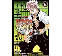 Viz Demon Slayer Kimetsu No Yaiba GN Vol. 17 Paperback Manga