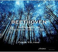 Vizi, Ferenc - Bagatelles Op. 126