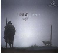 Vizi, Ferenc - Voyage