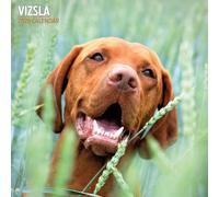 Vizsla - Calendario tradizionale 2026