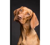 Vizsla Dog Notebook: Dog Lover | Notes | Journal | 6" x 9"