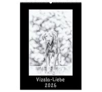 Vizsla-Liebe (Wandkalender 2026 DIN A2 hoch), CALVENDO Monatskalender: Einmal Vizsla - immer Vizsla