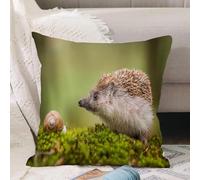 VJIZLOQB Fodera per Cuscino Decorativa Copricuscini,Federe Cuscini Divano, Decorazioni di Natale per Casa, Giardino,Riccio, Fotografia di animali nell'Europa orientale Lumaca con scene di ric,40x40cm