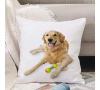 VJIZLOQB Fodera per Cuscino Decorativa Copricuscini,Federe Cuscini Divano, Decorazioni di Natale per Casa, Giardino,Golden Retriever, cane da compagnia che si fissa con un giocattolo per cucc,40x40cm