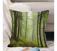 VJIZLOQB Fodera per Cuscino Decorativa Copricuscini,Federe Cuscini Divano, Decorazioni di Natale per Casa, Giardino,All'aperto, sentiero attraverso ontani nebbiosi faggi querce boschetto di c,50x50cm