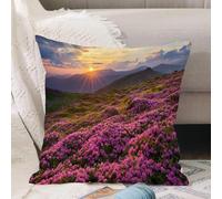 VJIZLOQB Fodera per Cuscino Decorativa Copricuscini,Federe Cuscini Divano, Decorazioni di Natale per Casa, Giardino,Prato fiorito nella valle di montagna con cielo all'orizzonte surreale madr,40x40cm