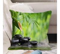 VJIZLOQB Fodera per Cuscino Decorativa Copricuscini,Federe Cuscini Divano, Decorazioni di Natale per Casa, Giardino,Natura morta spa con fontana di bambù e pietra zen in acqua Dipingere la st,50x50cm