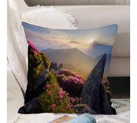 VJIZLOQB Fodera per Cuscino Decorativa Copricuscini,Federe Cuscini Divano, Decorazioni di Natale per Casa, Giardino,Alba nel prato della valle con rododendri, fauna selvatica, idilliaco scen,50x50cm