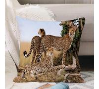 VJIZLOQB Fodera per Cuscino Decorativa Copricuscini,Federe Cuscini Divano, Decorazioni di Natale per Casa, Giardino,Madre ghepardo e due cuccioli più grandi Masai Mara Kenya,40x40cm