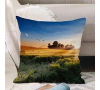 VJIZLOQB Fodera per Cuscino Decorativa Copricuscini,Federe Cuscini Divano, Decorazioni di Natale per Casa, Giardino,foto di prati al vento del mattino con cielo e luna Terra Paesaggio Pastora,40x40cm
