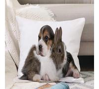 VJIZLOQB Fodera per Cuscino Decorativa Copricuscini,Federe Cuscini Divano, Decorazioni di Natale per Casa, Giardino,Cucciolo di Beagle di 1 mese e un coniglio davanti a uno sfondo bianco,50x50cm