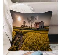 VJIZLOQB Fodera per Cuscino Decorativa Copricuscini,Federe Cuscini Divano, Decorazioni di Natale per Casa, Giardino,Casa di campagna, vecchio abbandonato rurale prato fiorito villaggio idilli,40x40cm