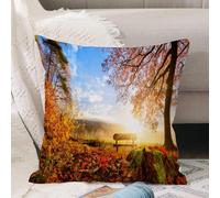 VJIZLOQB Fodera per Cuscino Decorativa Copricuscini,Federe Cuscini Divano, Decorazioni di Natale per Casa, Giardino,Paesaggio autunnale con il sole che illumina calorosamente una panchina sot,40x40cm
