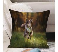 VJIZLOQB Fodera per Cuscino Decorativa Copricuscini,Federe Cuscini Divano, Decorazioni di Natale per Casa, Giardino,Bellissimo cane da pastore australiano che corre tra gli animali dell'erba,40x40cm