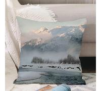 VJIZLOQB Fodera per Cuscino Decorativa Copricuscini,Federe Cuscini Divano, Decorazioni di Natale per Casa, Giardino,Alaska, valle di Chilkat ricoperta di neve Paesaggio invernale Scena idilli,50x50cm