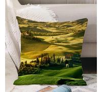 VJIZLOQB Fodera per Cuscino Decorativa Copricuscini,Federe Cuscini Divano, Decorazioni di Natale per Casa, Giardino,Tranquillo paesaggio toscano di Pienza Toscana Vigneti Alberi Prato Antica,40x40cm
