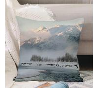 VJIZLOQB Fodera per Cuscino Decorativa Copricuscini,Federe Cuscini Divano, Decorazioni di Natale per Casa, Giardino,La valle di Chilkat sotto una coltre di neve con le montagne sullo sfondo.,40x40cm