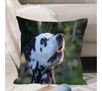 VJIZLOQB Fodera per Cuscino Decorativa Copricuscini,Federe Cuscini Divano, Decorazioni di Natale per Casa, Giardino,Cane dalmata con la faccia maculata che guarda in alto,40x40cm