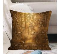 VJIZLOQB Fodera per Cuscino Decorativa Copricuscini,Federe Cuscini Divano, Decorazioni di Natale per Casa, Giardino,Bassorilievo di Ramesse II e Seth nel Grande Tempio di Abu Simbel,40x40cm