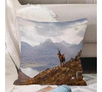 VJIZLOQB Fodera per Cuscino Decorativa Copricuscini,Federe Cuscini Divano, Decorazioni di Natale per Casa, Giardino,Cervo selvatico che domina Loch Torridon e la spettacolare catena montuosa,45x45cm