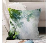 VJIZLOQB Fodera per Cuscino Decorativa Copricuscini,Federe Cuscini Divano, Decorazioni di Natale per Casa, Giardino, Raggio di sole nella foresta pluviale tra le ombre degli alberi Solitudine,40x40cm