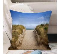VJIZLOQB Fodera per Cuscino Decorativa Copricuscini,Federe Cuscini Divano, Decorazioni di Natale per Casa, Giardino,Sentiero attraverso le dune fino alla spiaggia e al vecchio molo di legno M,40x40cm