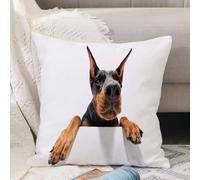 VJIZLOQB Fodera per Cuscino Decorativa Copricuscini,Federe Cuscini Divano, Decorazioni di Natale per Casa, Giardino,Vado da te. Ritratto ravvicinato di un doberman pinscher in arrampicata su,40x40cm