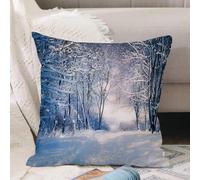 VJIZLOQB Fodera per Cuscino Decorativa Copricuscini,Federe Cuscini Divano, Decorazioni di Natale per Casa, Giardino,Inverno, vicolo nella foresta innevata Tempo gelido e dorurale all'aperto F,30x30cm
