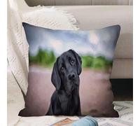 VJIZLOQB Fodera per Cuscino Decorativa Copricuscini,Federe Cuscini Divano, Decorazioni di Natale per Casa, Giardino,Adorabile disegno cani Labrador Cool animali neri cane retriever fauna selv,40x40cm