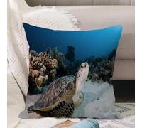 VJIZLOQB Fodera per Cuscino Decorativa Copricuscini,Federe Cuscini Divano, Decorazioni di Natale per Casa, Giardino,Animale marino sottomarino sulla barriera corallina nel Mar Rosso in Egitto,50x50cm