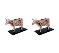 Vjsujehgy 2X Animale Organo Anatomia Modello 4D Mucca Intelligenza Assemblaggio Giocattolo Insegnamento Anatomia Modello DIY Elettrodomestici Scientifici Popolari