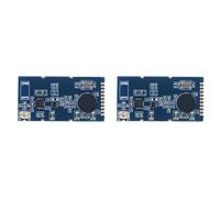 Vjsujehgy 2X CC2500 Modulo Trasmettitore/Ricevitore di Trasmissione Dati Wireless 2.4G Chip P Integrato Modulo di Controllo Remoto Wireless SPI