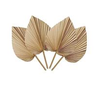 Vjsujehgy 6 Foglie di Palma Secche Tropicali Naturali Foglie di Palma Secche Decorazione Boho Foglie di Palma Rifilate per Matrimoni Decorazione Camera da Letto da Parete