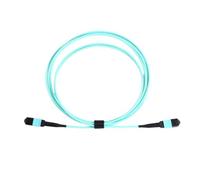 Vjsujehgy Patch MPO A 12 Conduttori OM3, Ottico Multimodale OM3 Mpo per Modulo 100G 40G, Patch Mpo OM3 A 12 Conduttori B