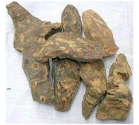 VK CHOBCHINI - CHOPCHINI - China Root - Smilax GLABRA (1 Kg)