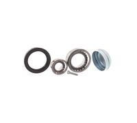 VKBA6537 SKF KIT CUSC.RUOTE MERCEDES CLS-E-CLASS-SL Skf
