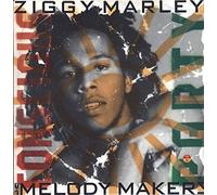 VL2506 LP Conscious Party VINYL