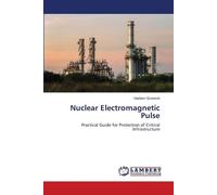 Vladimir Gurevich Nuclear Electromagnetic Pulse (Tascabile)