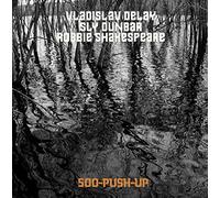 Vladislav Delay, Sly Dunbar, Robbie Shakespeare - 500 Push Up