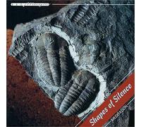 Vlastislav Matousek - Shapes of silence