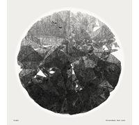 Vlmv - Stranded, Not Lost