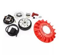 VMC Accensione Elettronica Cono 20 Classico VENTOLA ROSSA Vespa Small Frame 50 125 Special - ET3 - PRIMAVERA - PK 50-125