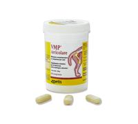 VMP ARTICOLARE (60 cpr) - Integratore in compresse per la salute delle articolazioni del cane
