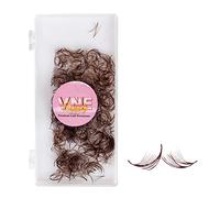 VNE 500 Ventole Colorate Lash Extensions | Estensioni per ciglia premade Volume | Ventole premade Mega Volume | Extension ciglia colorate | Estensioni per ciglia russe | 6D, marrone, C Curl, 14 mm