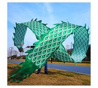 Vnook Nastro da Ballo Dragon Poi, Giocattolo da giocoliere con Squame, Aquilone colorato 3D in Seta, Poi Che Gira e Si agita, Giochi di Fitness all'aperto for Giardino/Parco/Spiaggia(Green,10m)