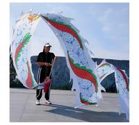 Vnook Nastro for Danza del Drago, Set di Nastri for Danza del Drago for Fitness Sportivo, Set di Giochi di Lancio ritmico Leggero for Giocoleria Fitness all'aperto(White,8m)